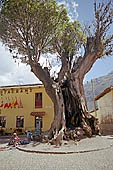 Pisac local market